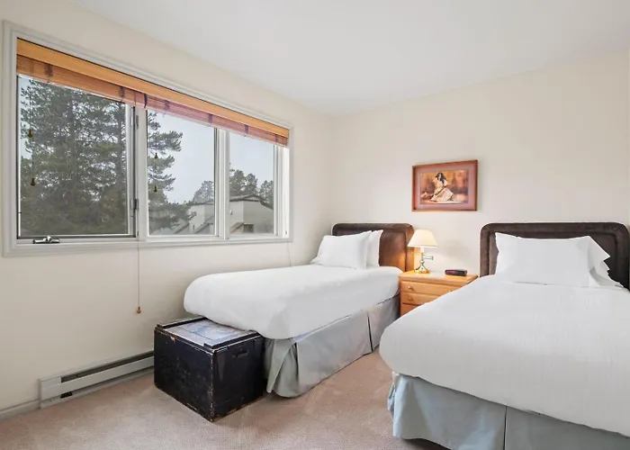Apartment Rmr: Mountain Ash 3 In The Aspenswilsonwy Wilson
